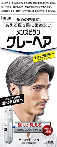 メンズビゲンのグレーヘア
