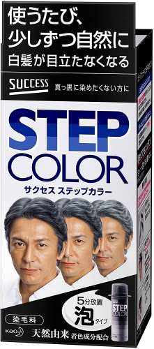 サクセス ステップカラー